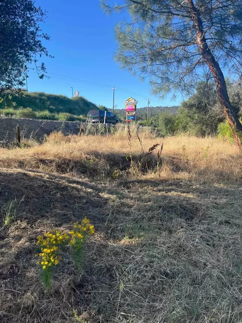 45990 Hawk Ln, Coarsegold, CA 93614