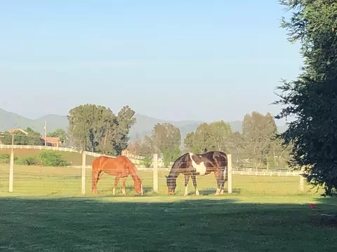 Other - 8584 N Madsen Ave, Clovis, CA 93619 photo 2 of 18