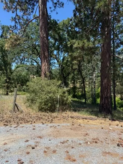 3764 Black Oak River Rd, Oakhurst, CA 93644