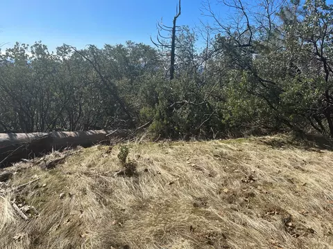 6225 Old Mill Rd, Mariposa, CA 95338