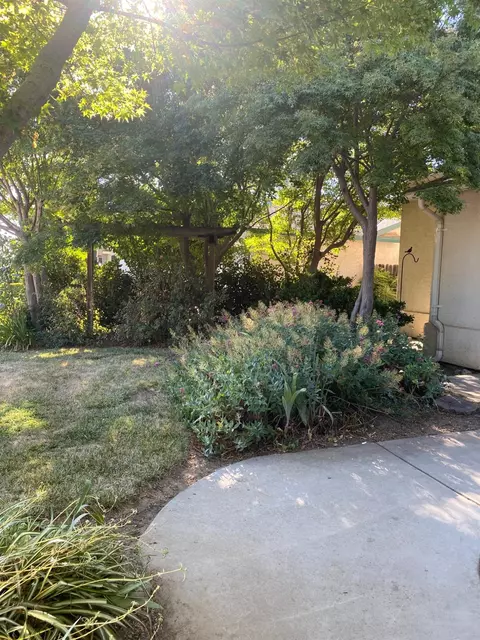 Exterior - 609 Merlot Ave, Madera, CA 93637 photo 15 of 15