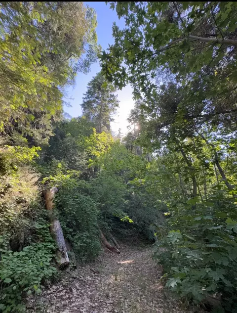 Other - 0 Ca-245, Miramonte, CA 93641 photo 25 of 33