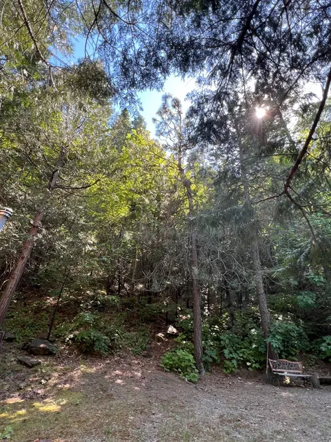 Exterior - 0 Ca-245, Miramonte, CA 93641 photo 4 of 8