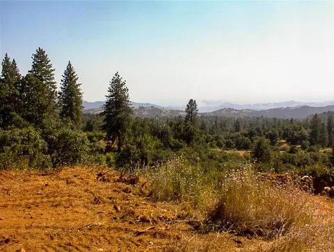 53333 Hwy 245, Pinehurst, CA 93641 photo 26