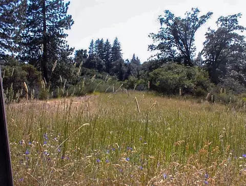 53333 Hwy 245, Pinehurst, CA 93641 photo 14