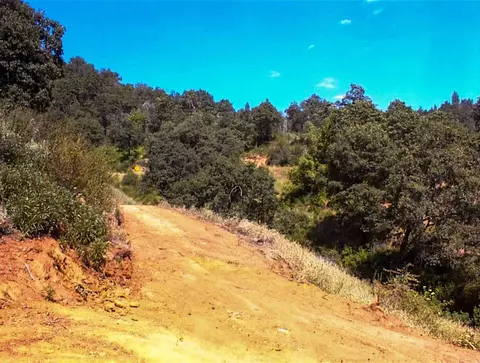 53333 Hwy 245, Pinehurst, CA 93641 photo 24