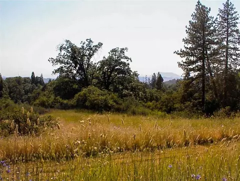 53333 Hwy 245, Pinehurst, CA 93641 photo 20