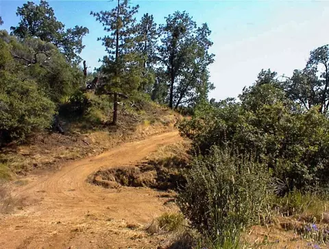 53333 Hwy 245, Pinehurst, CA 93641 photo 23