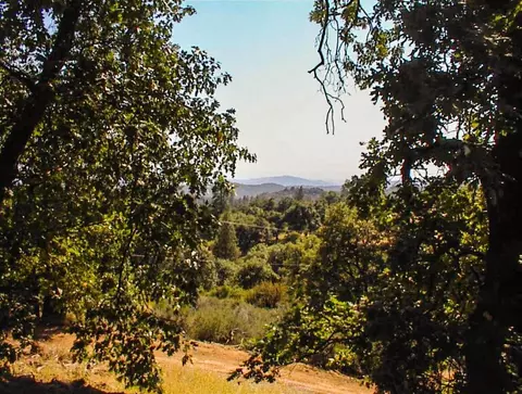 53333 Hwy 245, Pinehurst, CA 93641 photo 11