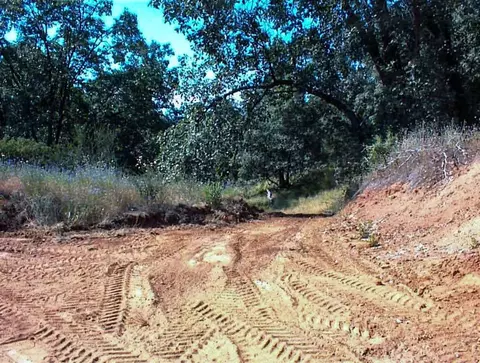 53333 Hwy 245, Pinehurst, CA 93641 photo 30
