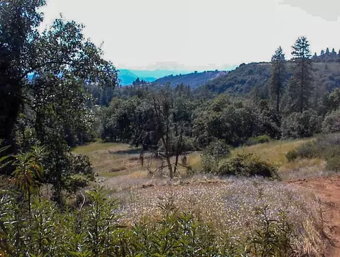 53333 Hwy 245, Pinehurst, CA 93641 photo 33