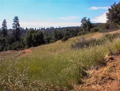 53333 Hwy 245, Pinehurst, CA 93641 photo 21