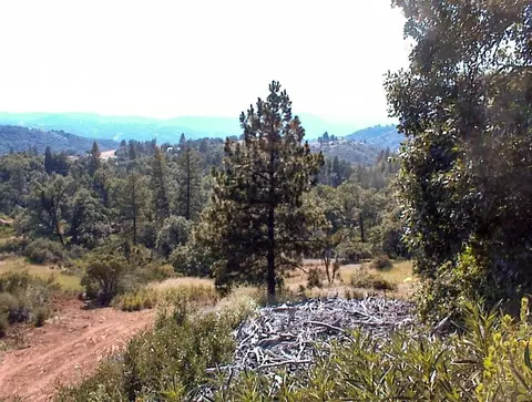 53333 Hwy 245, Pinehurst, CA 93641 photo 31