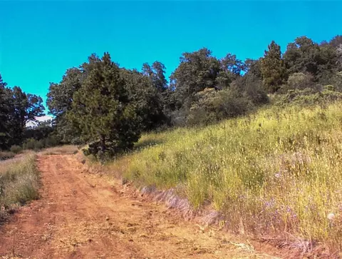 53333 Hwy 245, Pinehurst, CA 93641 photo 22