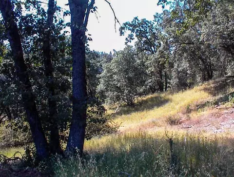 53333 Hwy 245, Pinehurst, CA 93641 photo 28