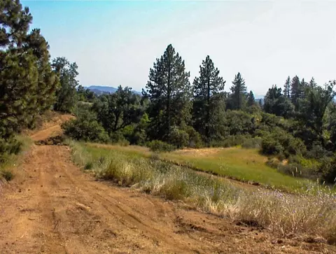 53333 Hwy 245, Pinehurst, CA 93641 photo 35