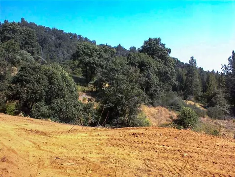 53333 Hwy 245, Pinehurst, CA 93641 photo 25