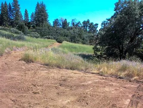 53333 Hwy 245, Pinehurst, CA 93641 photo 18