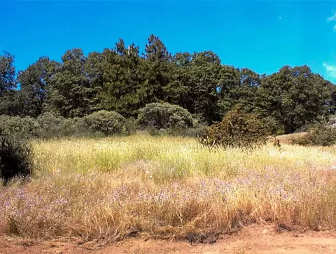 53333 Hwy 245, Pinehurst, CA 93641 photo 19