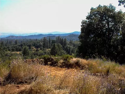 53333 Hwy 245, Pinehurst, CA 93641 photo 27