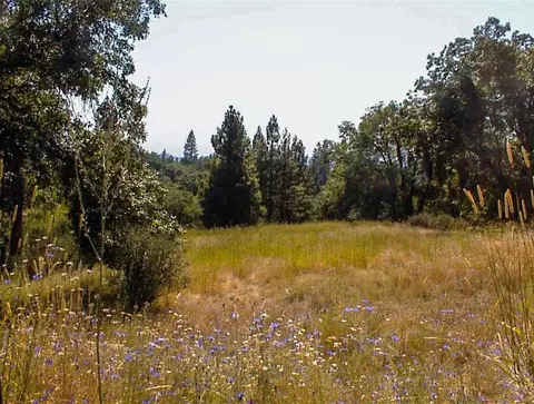53333 Hwy 245, Pinehurst, CA 93641 photo 15