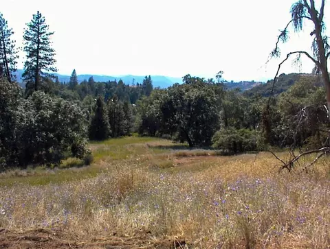 53333 Hwy 245, Pinehurst, CA 93641 photo 34