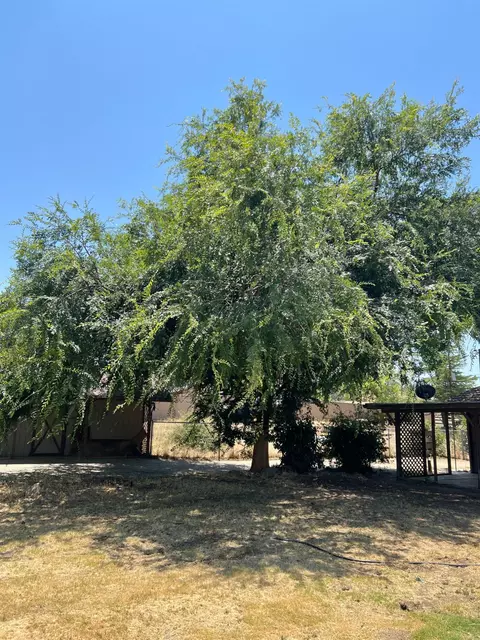 Exterior - 32644 Quail Ln, Yokuts Valley, CA 93675 photo 4 of 14