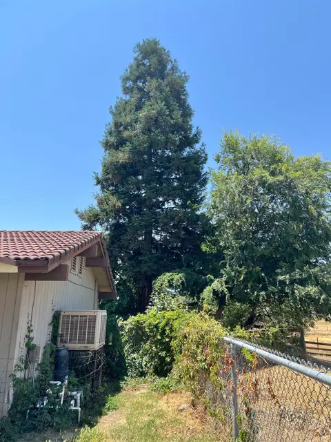 Exterior - 32644 Quail Ln, Yokuts Valley, CA 93675 photo 8 of 14