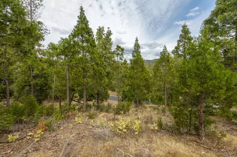 26 Timberview Rd, North Fork, CA 93643 photo 30