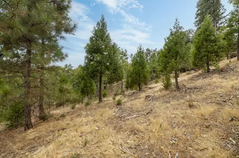 26 Timberview Rd, North Fork, CA 93643 photo 33