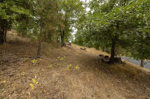 26 Timberview Rd, North Fork, CA 93643 photo 15
