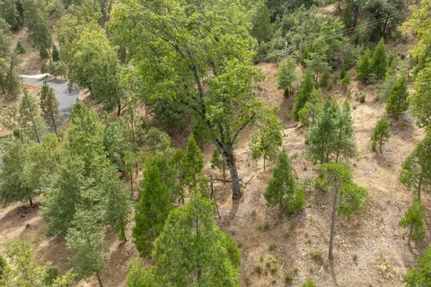 26 Timberview Rd, North Fork, CA 93643 photo 4
