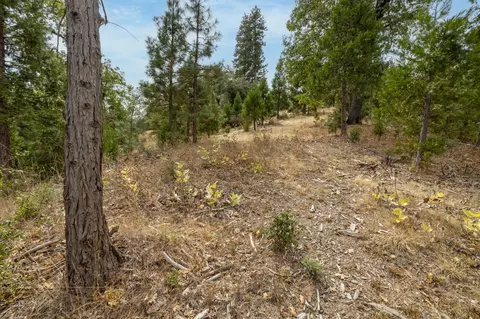 26 Timberview Rd, North Fork, CA 93643 photo 39