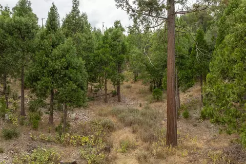 26 Timberview Rd, North Fork, CA 93643 photo 41