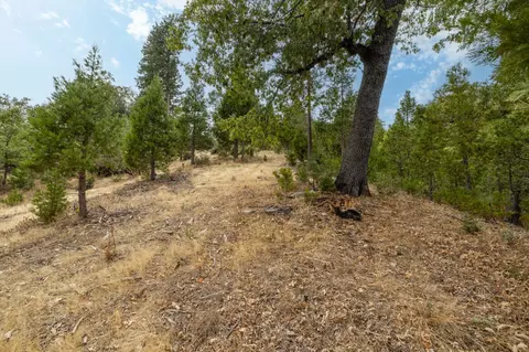 26 Timberview Rd, North Fork, CA 93643 photo 34