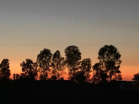 Other - 19691 Del Mar Rd, Madera, CA 93638 photo 15 of 20