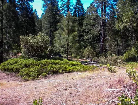 50010 Highway 180, Miramonte, CA 93641 photo 12