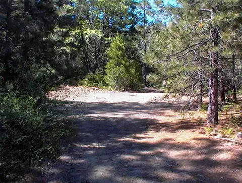 50010 Highway 180, Miramonte, CA 93641 photo 10
