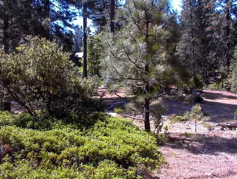 50010 Highway 180, Miramonte, CA 93641 photo 13