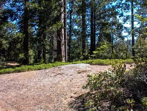 50010 Highway 180, Miramonte, CA 93641 photo 16