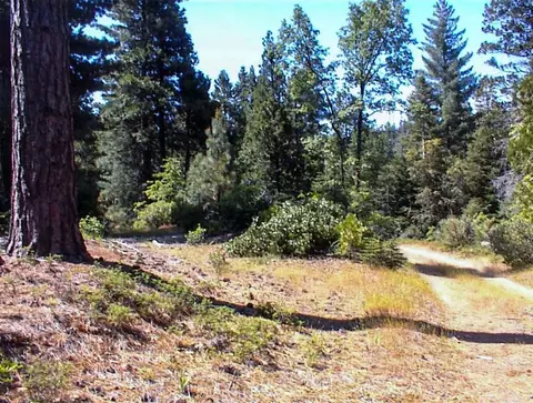 50010 Highway 180, Miramonte, CA 93641 photo 8