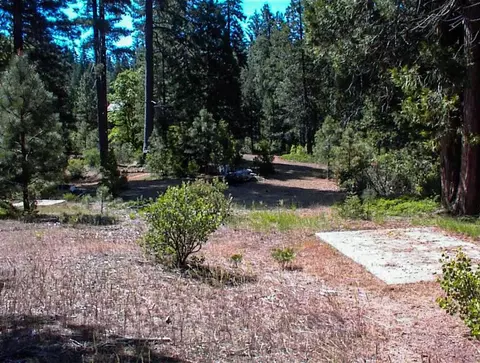 50010 Highway 180, Miramonte, CA 93641 photo 14