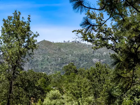5800 Lehamite Fall Rd, Mariposa, CA 95338 photo 70