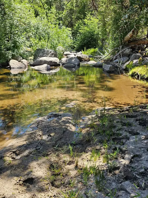 0 Rush Creek Rd, Piedra, CA 93726