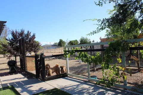 Exterior - 29146 Avenue 16 14, Madera, CA 93636 photo 16 of 25