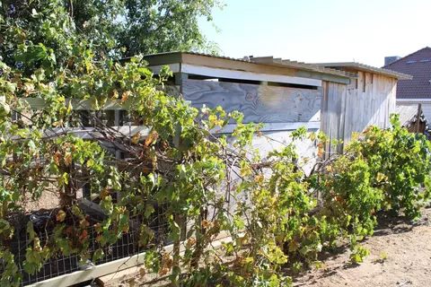 Other - 29146 Avenue 16 14, Madera, CA 93636 photo 9 of 11