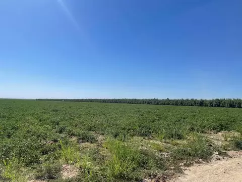 1 S Siskiyou, Kerman, CA 93630 photo 3