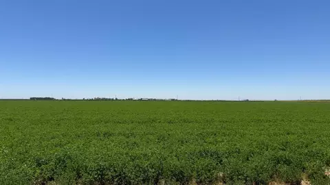100 American, Kerman, CA 93630 photo 2