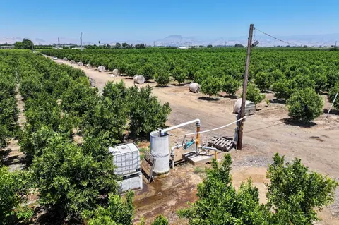 21868 E Manning Ave, Reedley, CA 93654 photo 4