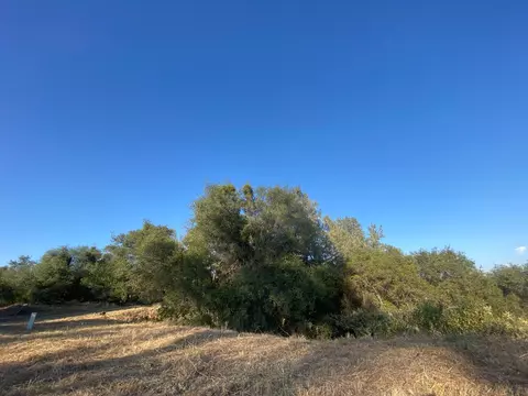 53748 Dogwood Dr, North Fork, CA 93643 photo 8